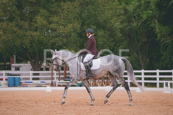 RWP_3219