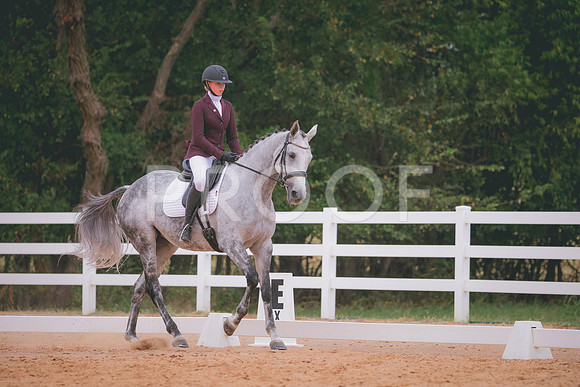 RWP_3228