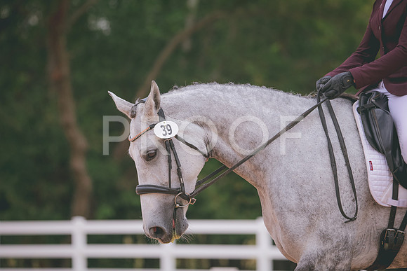 RWP_3232