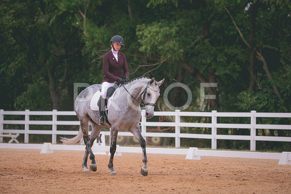 RWP_3239