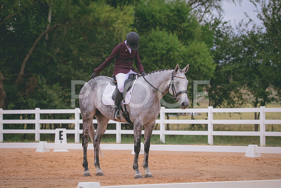 RWP_3243