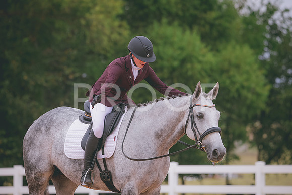 RWP_3246