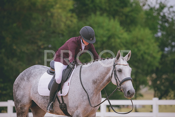 RWP_3248