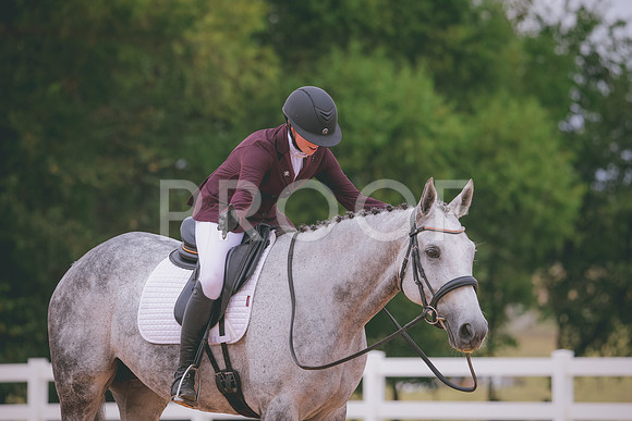 RWP_3247