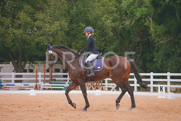 RWP_3310