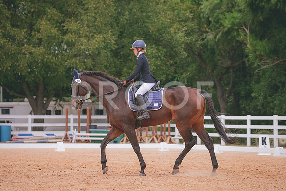 RWP_3311