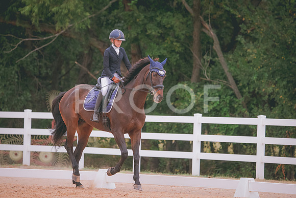 RWP_3317