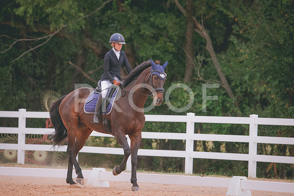RWP_3318