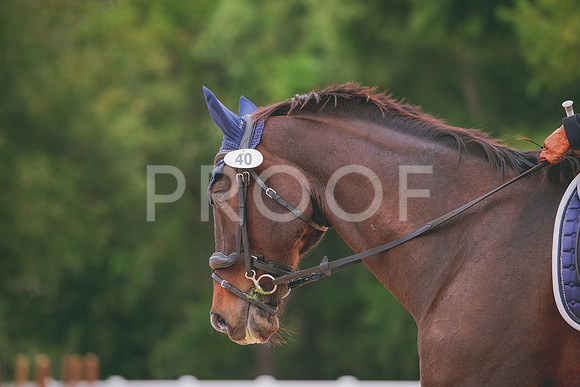 RWP_3323