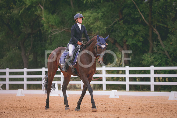 RWP_3331