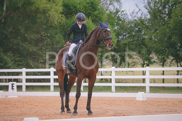 RWP_3335