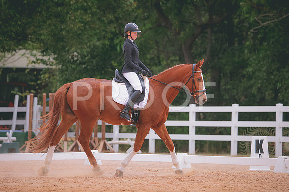 RWP_3373