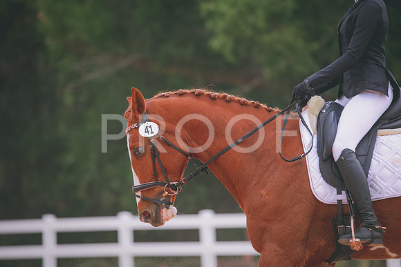 RWP_3381