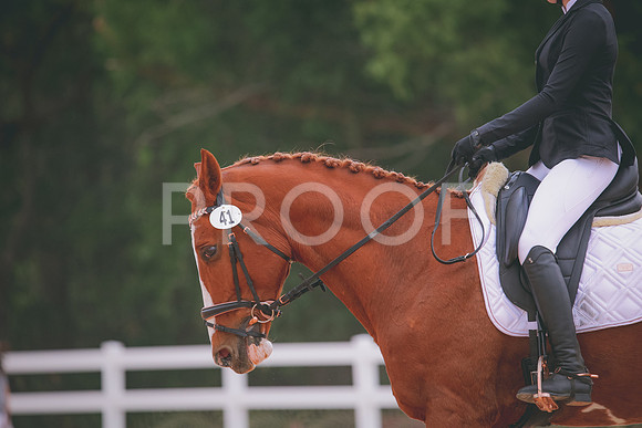 RWP_3382