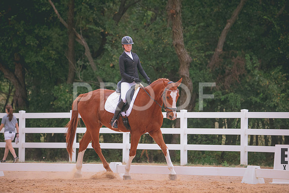 RWP_3376