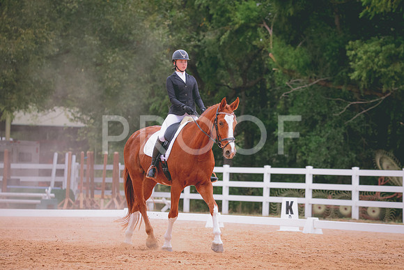 RWP_3368