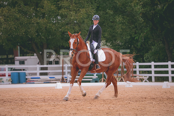 RWP_3391