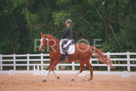 RWP_3387
