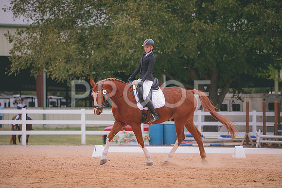 RWP_3416