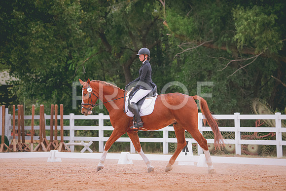 RWP_3412