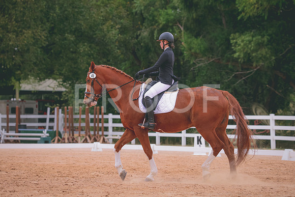 RWP_3428
