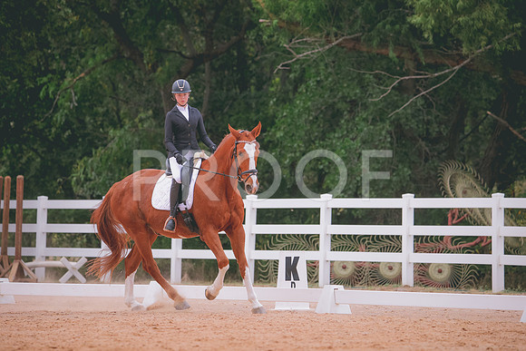 RWP_3433