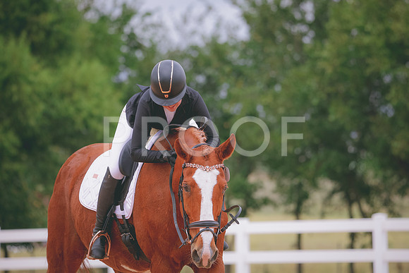 RWP_3453