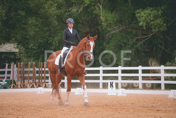 RWP_3450