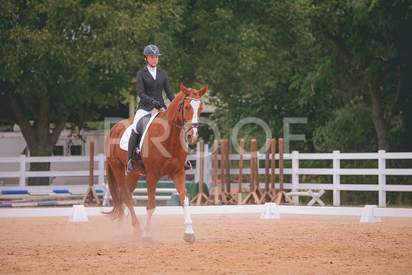 RWP_3447