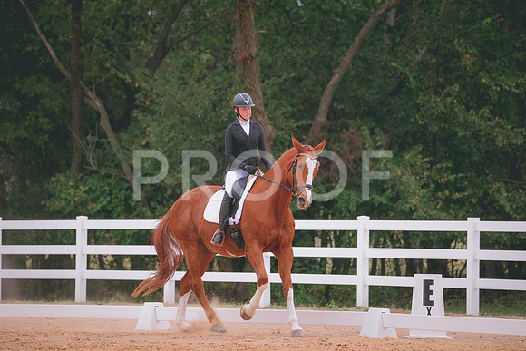 RWP_3444