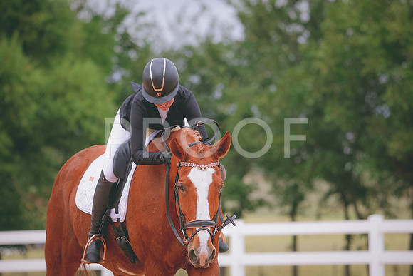 RWP_3454