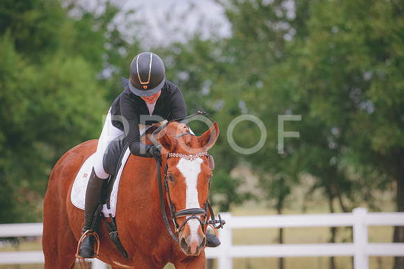 RWP_3455