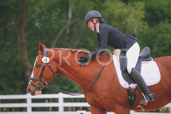 RWP_3460