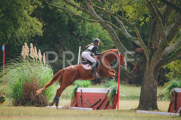 RWP_5007