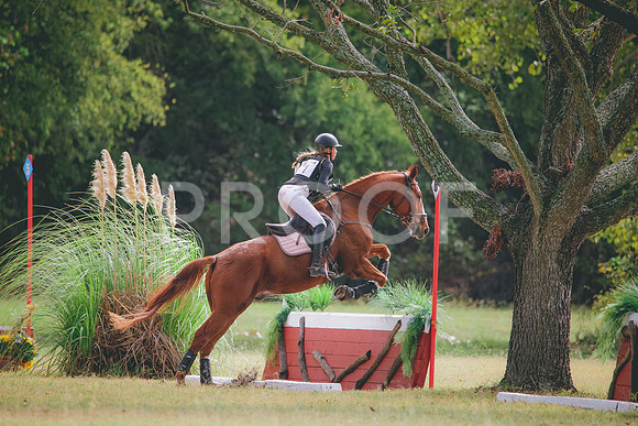 RWP_5006