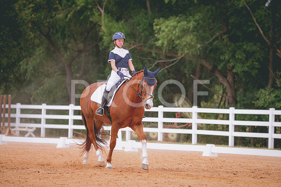 RWP_3476