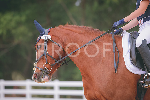RWP_3478