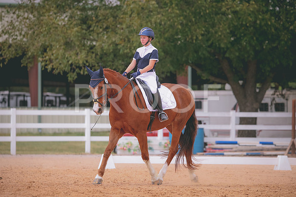 RWP_3484