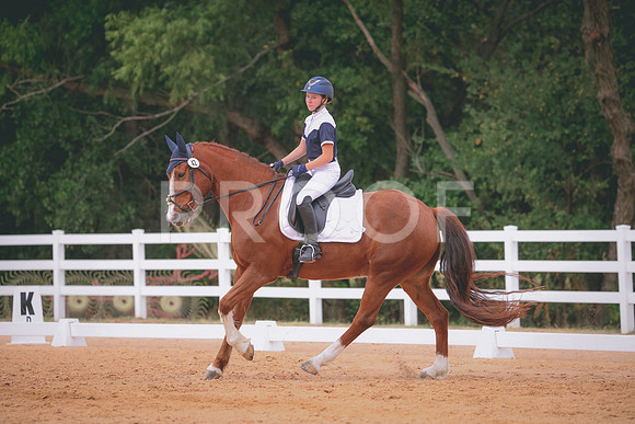 RWP_3486