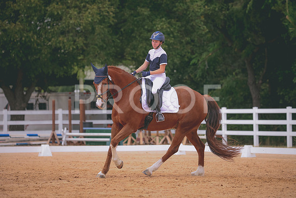 RWP_3490