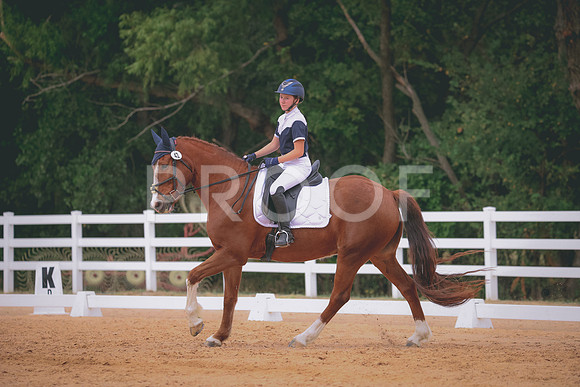 RWP_3487