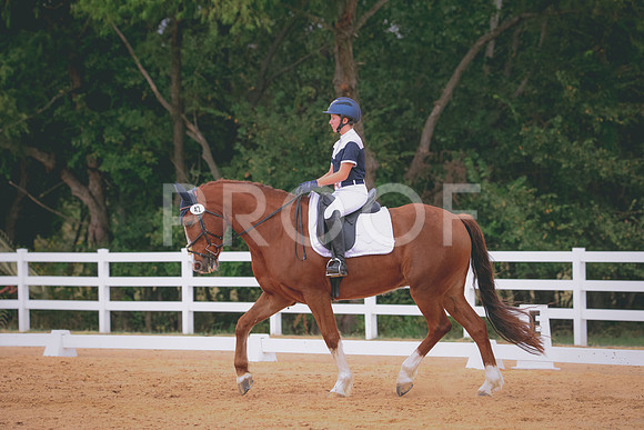 RWP_3503