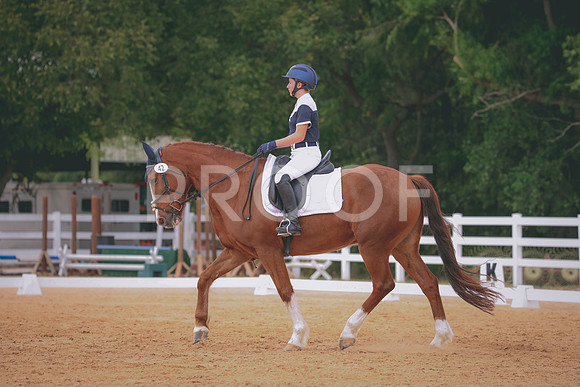 RWP_3508