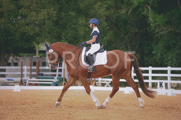 RWP_3509