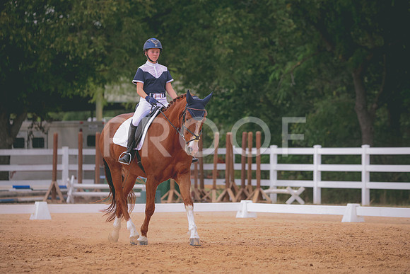 RWP_3526