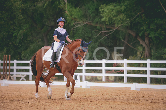 RWP_3528