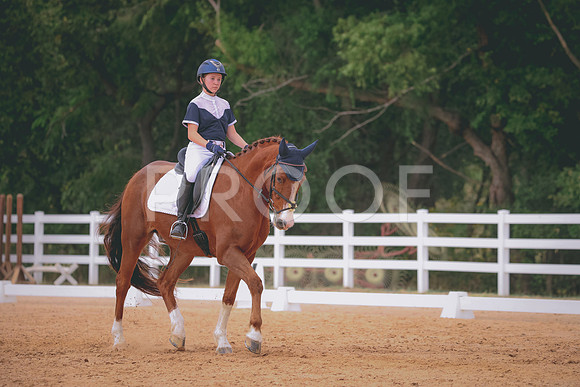 RWP_3529