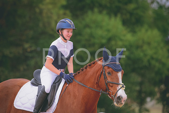 RWP_3533