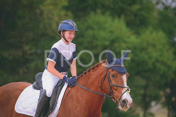 RWP_3534