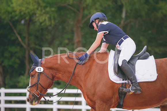 RWP_3536